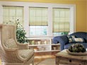 Pleated shades in living room windows
